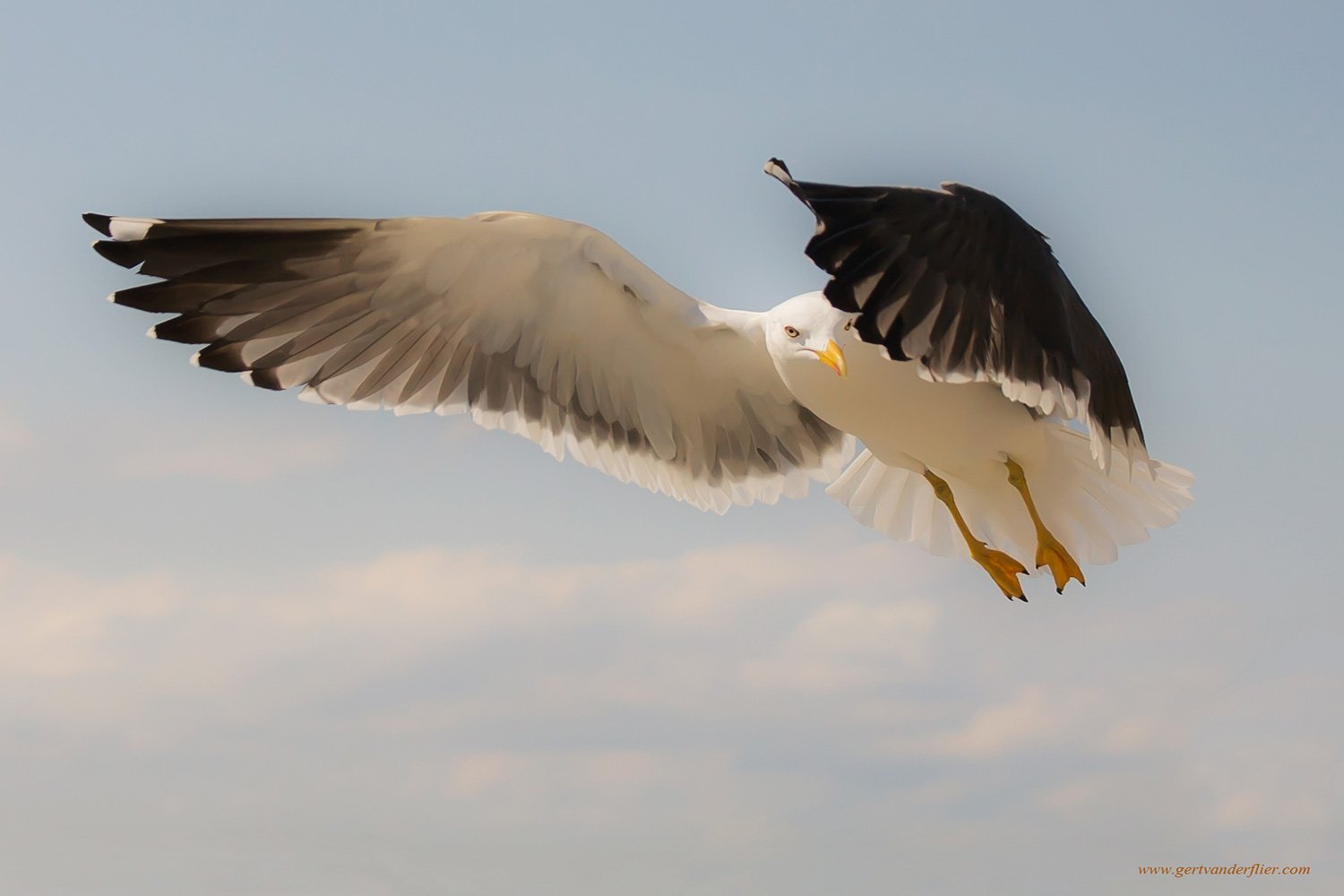 00003_LENTE08_TEXEL_PHOTO_106_2853AO1RncuzKL2N_15