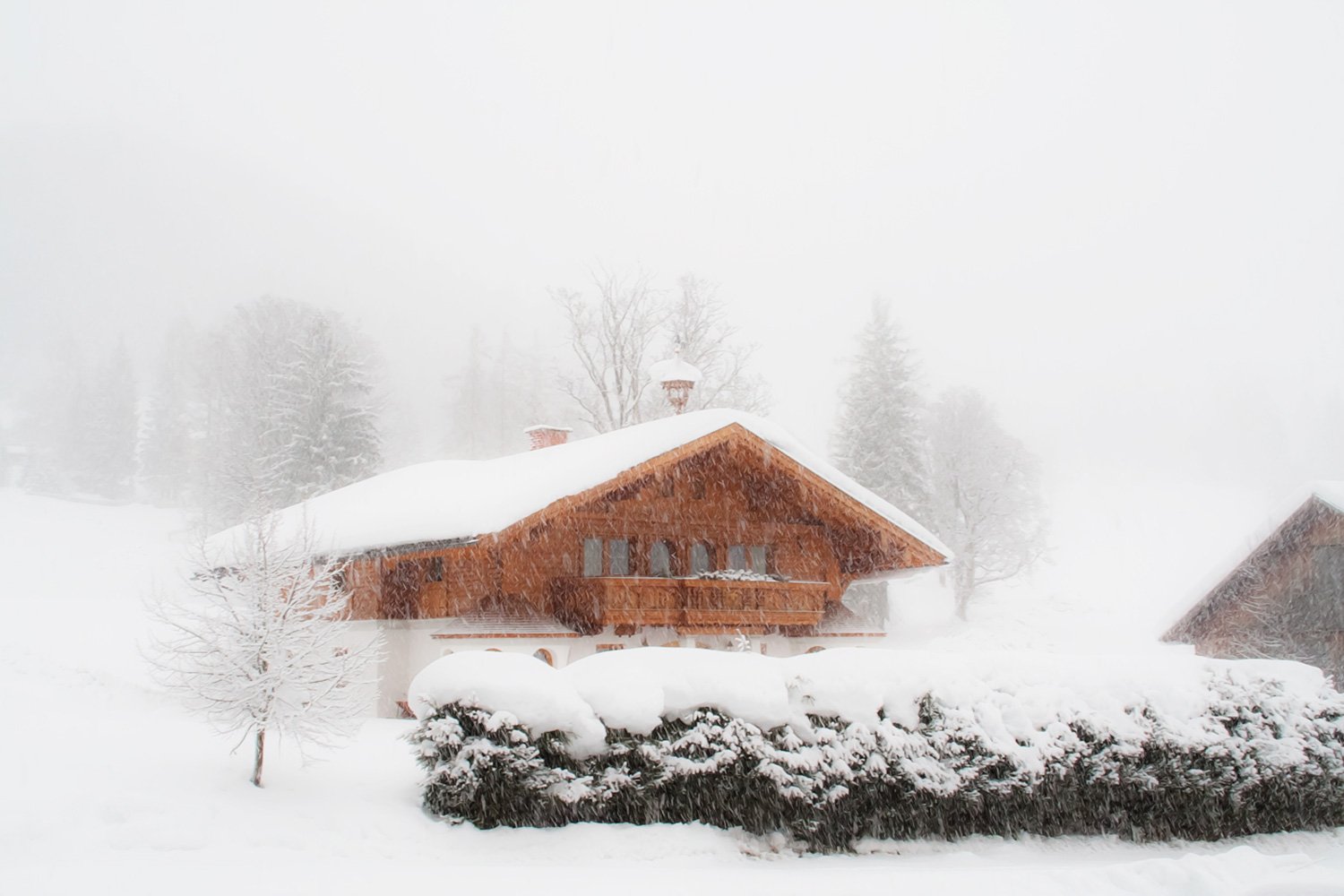 00005_08_01_04_D_RAMSAU_06_0354AO1RncuzN-40_15