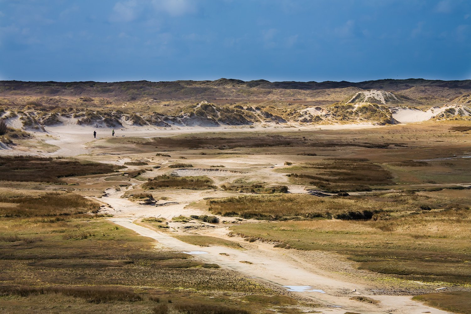 00005_M4_JAAR_TEXEL08_PHOTOS2_2282RCCz-402e_15