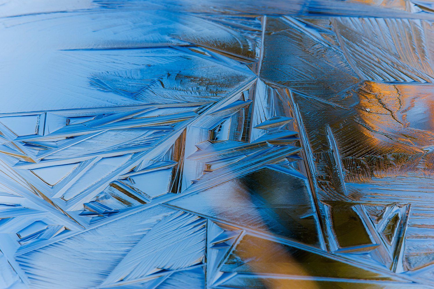 00006_M4_WINTO8_OISTERW_01_170208_6465RCCz-40_15