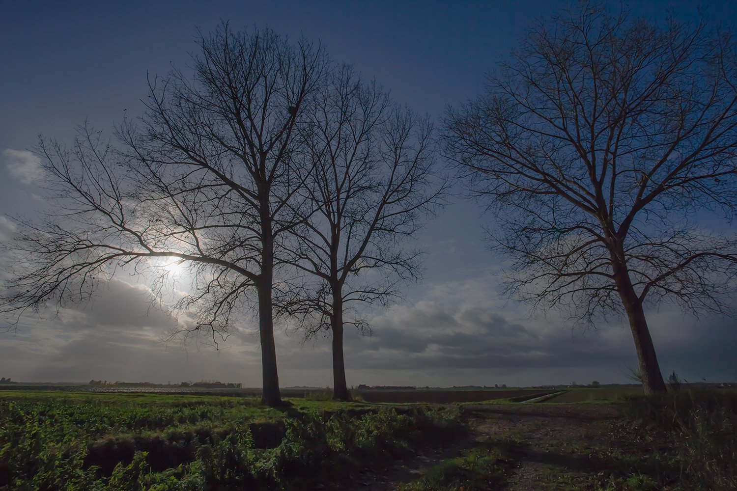 00007_M4_JAAR_HERFST_07_POLD_OSS_01_2818RCCz-40_15