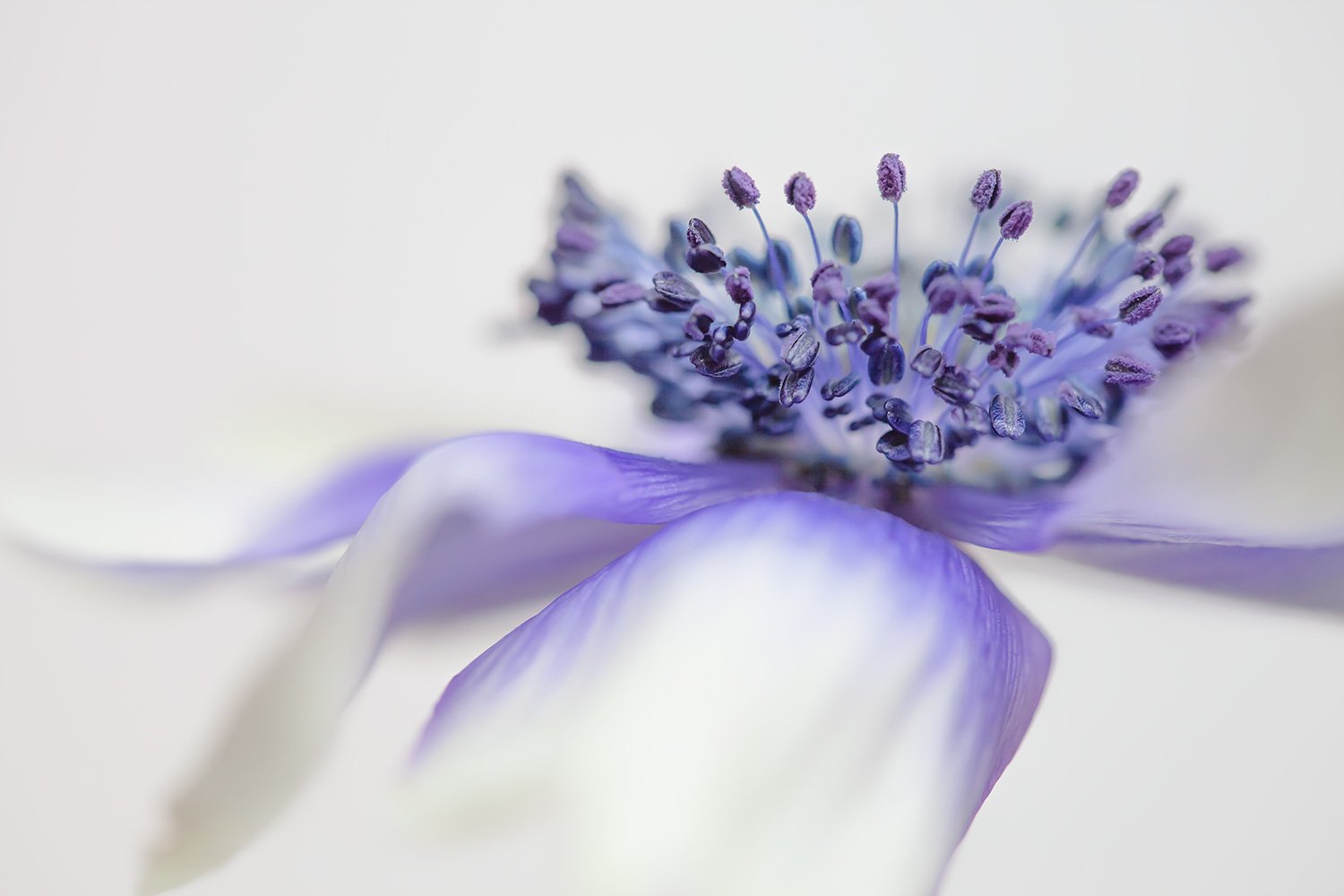 00009_MACRO_1_07FEBR_2014_4252RCCz-10_15