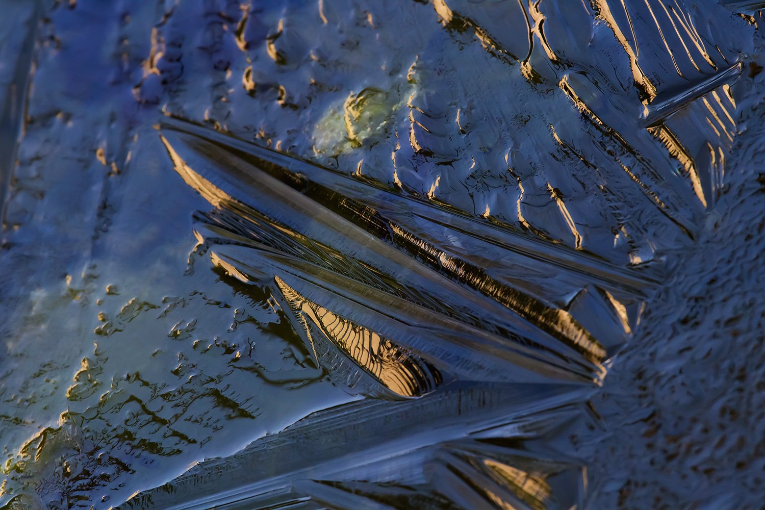 00009_VIVERIJS_18FEBR_2013_5713AO1RncuzzN0KL1_15