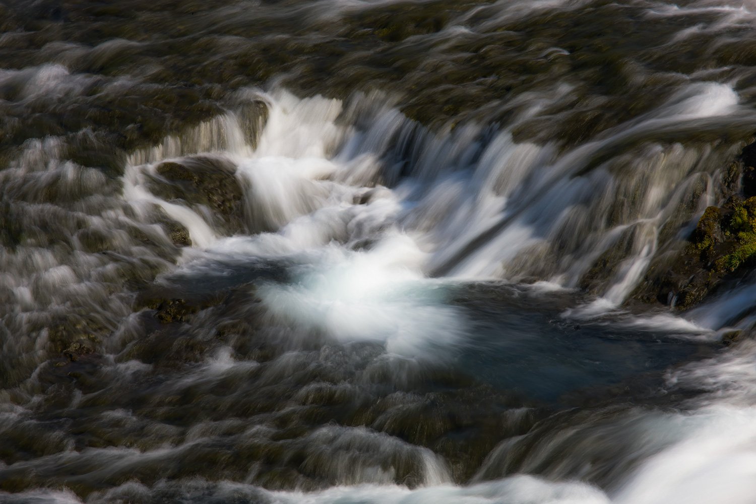 00011_L7_ICELAND09_SKOGA_DYRH_090703_8181RCCz-40_15