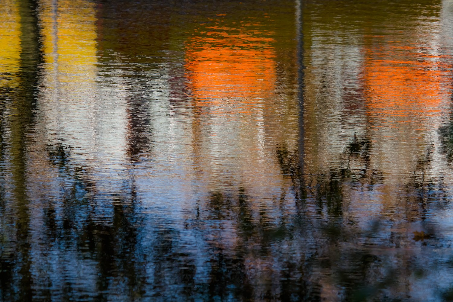 00013_IN1_KINDERBOER-3_ossekop_08_09nov_2014_2279RCCz-40_15