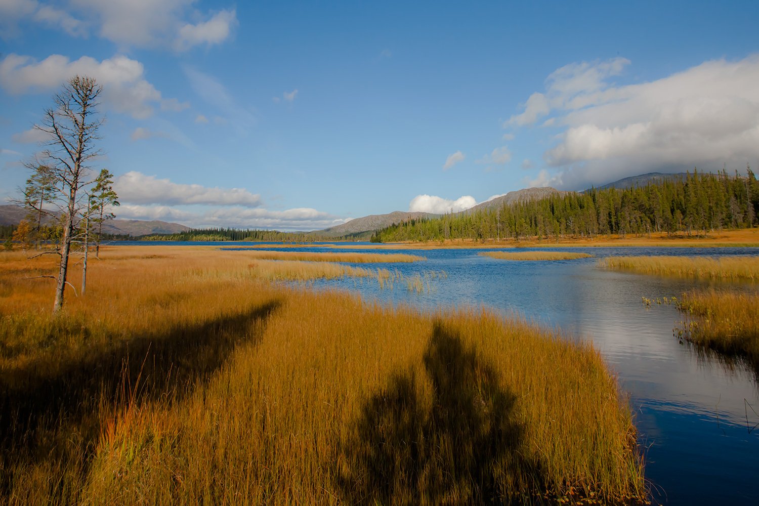 00014_M4_NO8_PH_154_155_ROYV_4586RCCz-40KL1_15