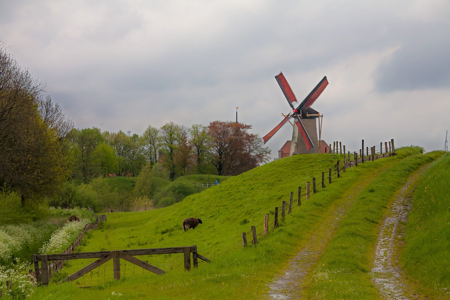 00015_IN1_LENTE08_BEEKSEB_290408_3718RCCz-40_15