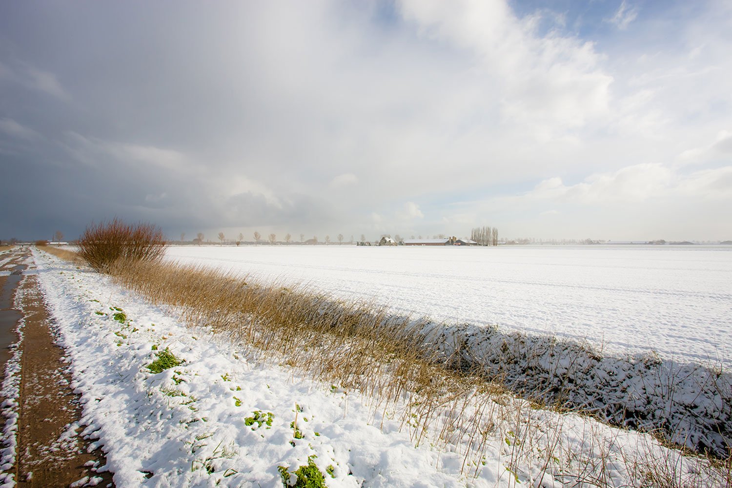 00015_LENTE08_POLDER_1_260308_2_0653RCCz-40_15