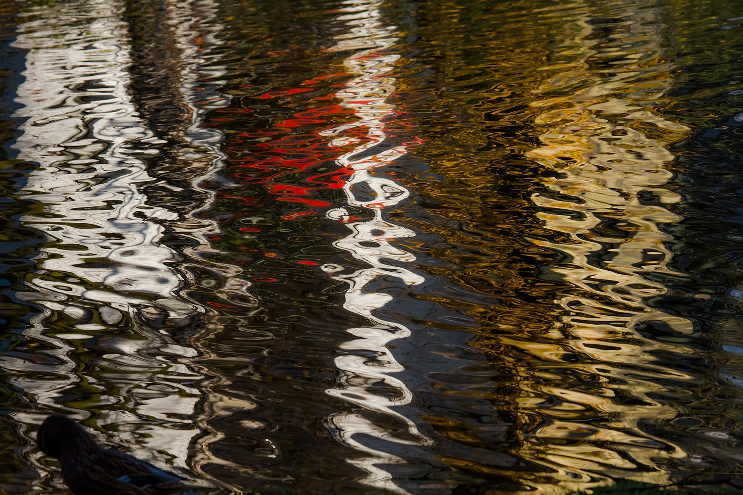 00017_IN1_KINDERBOERDERIJ_24NOV_2014_3498RCCz-40_15