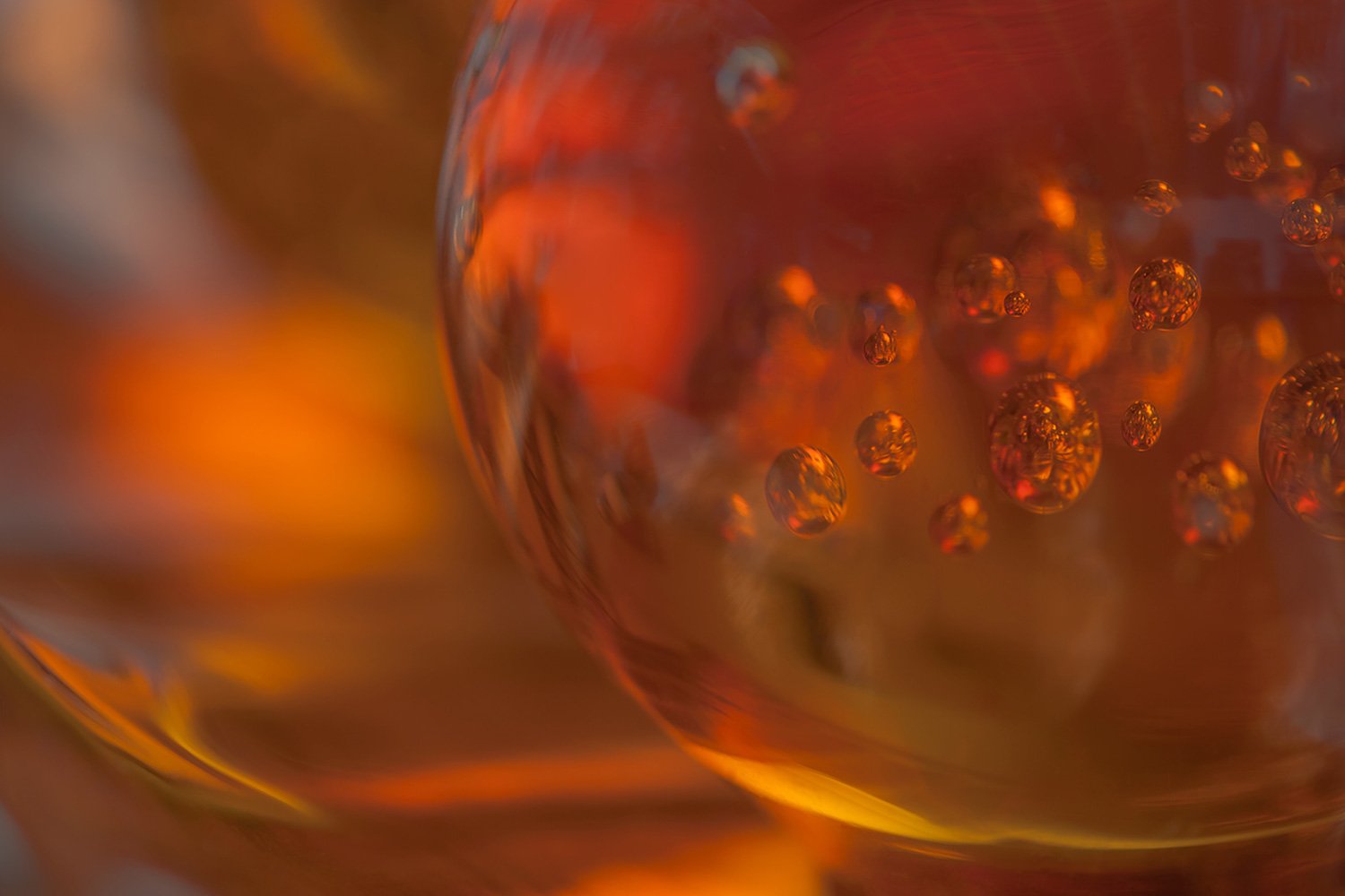 00019_IN1_MACRO_1_22FEBR_2015_4803RCCz-10_15