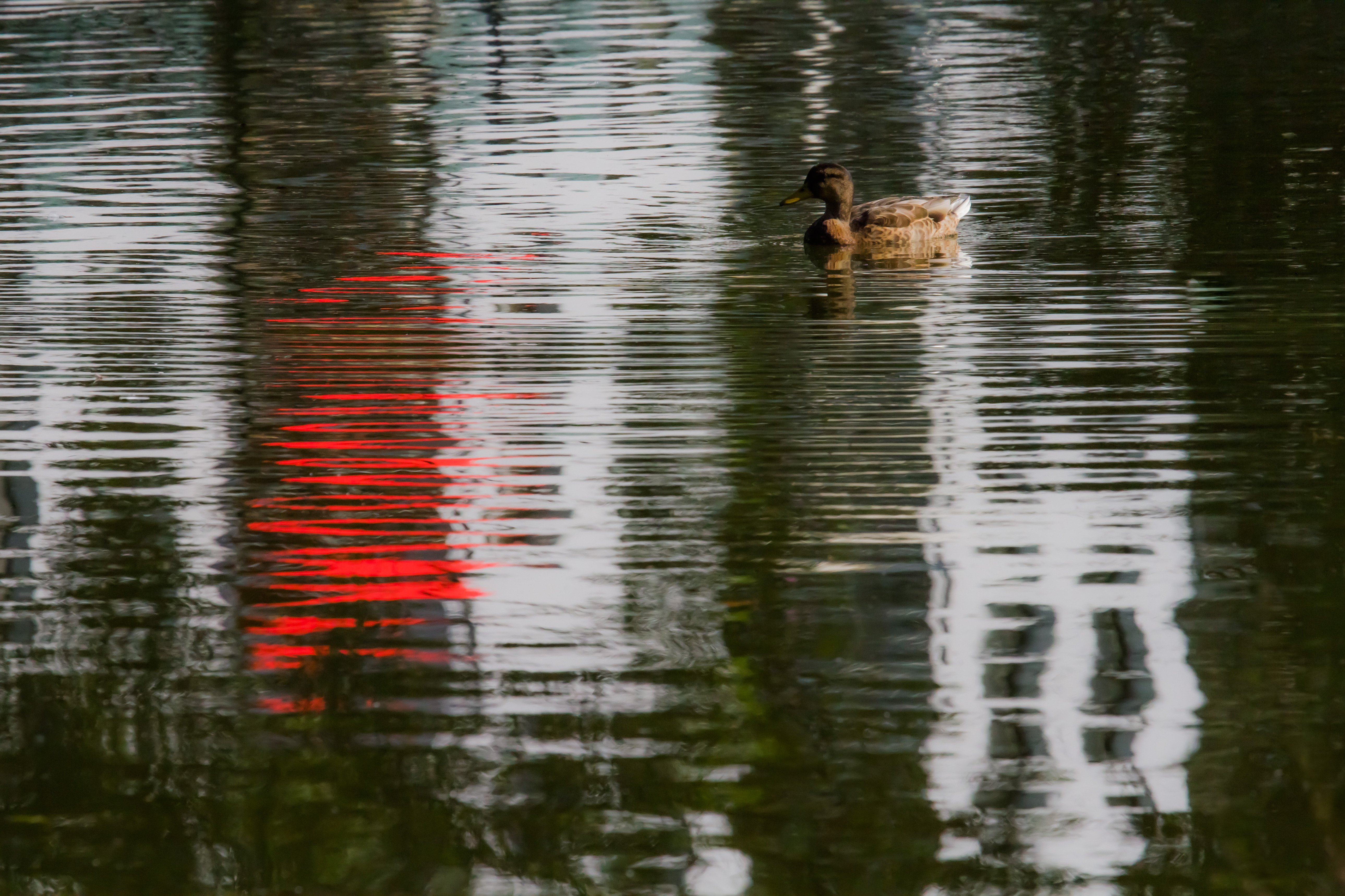 00019_IN2_HINTERB_KINDERB_02SEPT_2014_8562RCCz-40_15