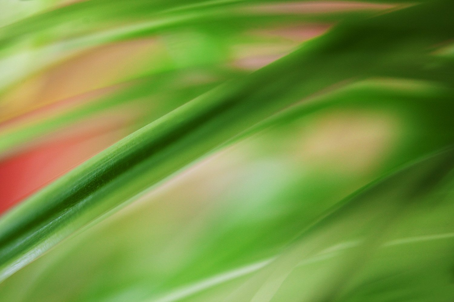 00021_MACRO_30_2_APRIL_2010_2636AO9lsnCcuzNcu2_15