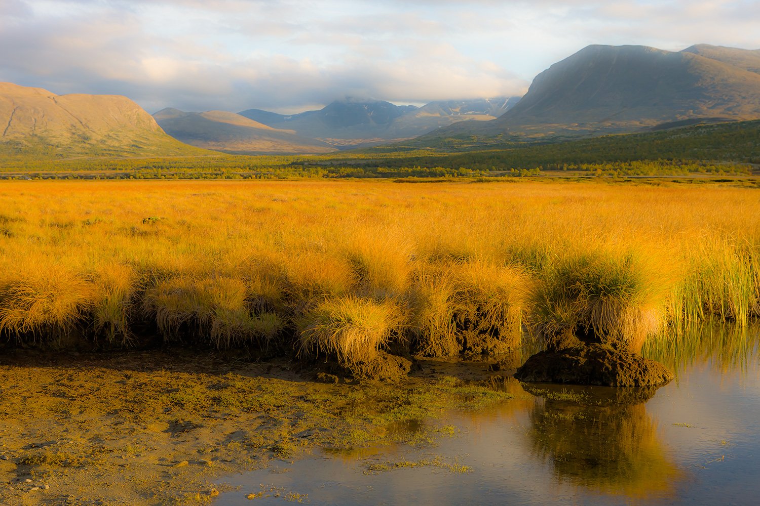 00021_NO8_PHOTO_159_160_GRIMSDALEN_4990RCCz-90_15