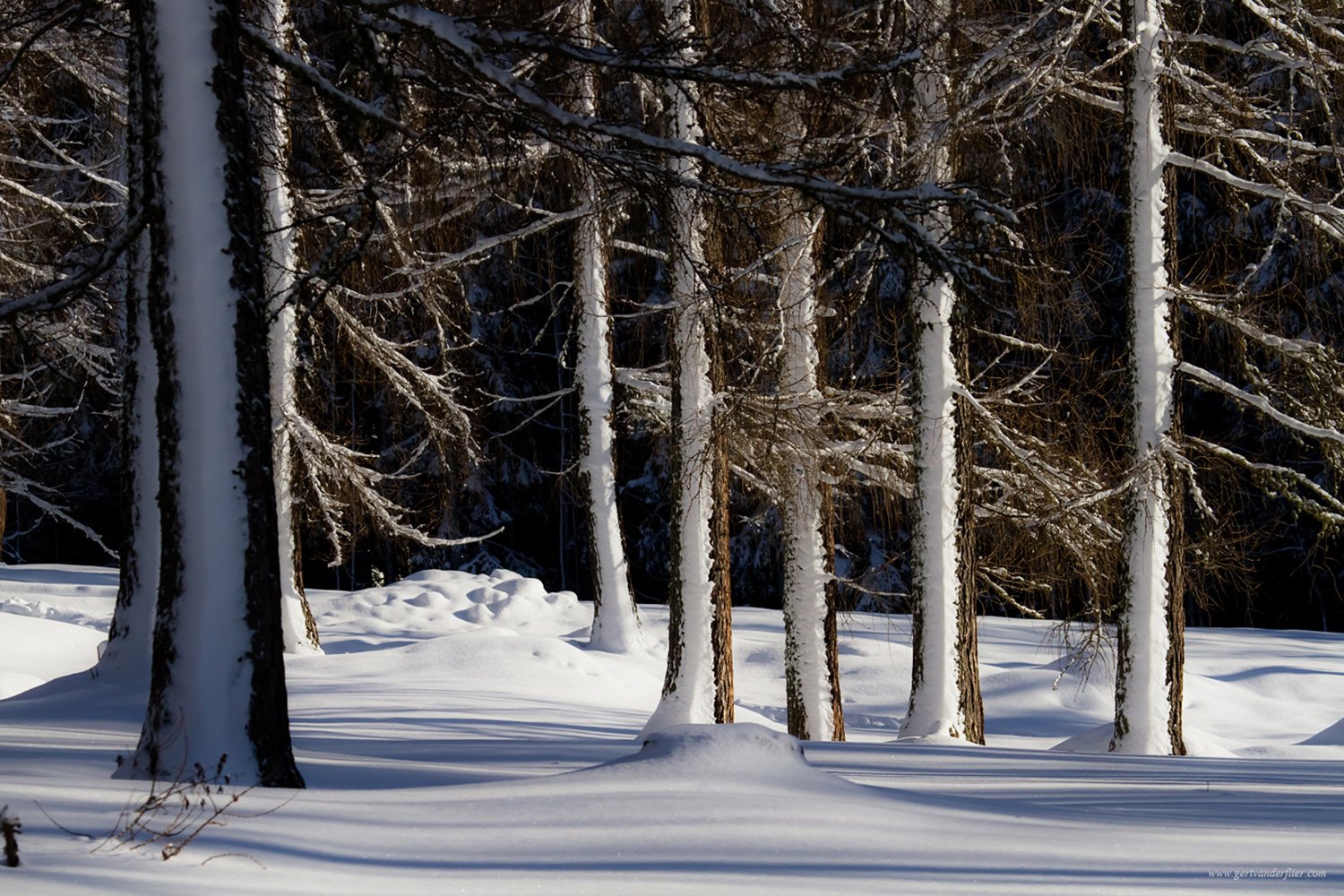 00021_RAMSAU_29DEC_2_2012_1980AO1RncuzN-40_15