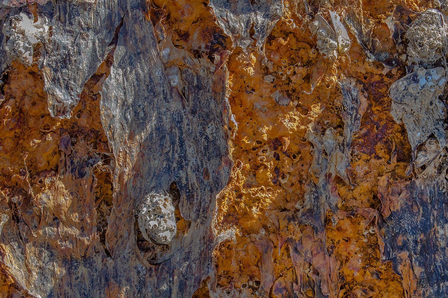 00023_M3_IJSLAND10-7D-HANST-1_0450RCCz+60s12e_15