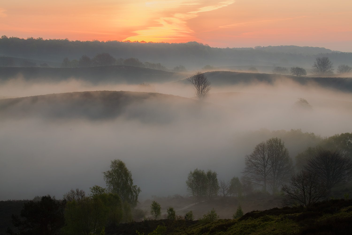 00023_M4_JAAR_LENTE_POSBANK_NR_01_5109RCCz-40_15