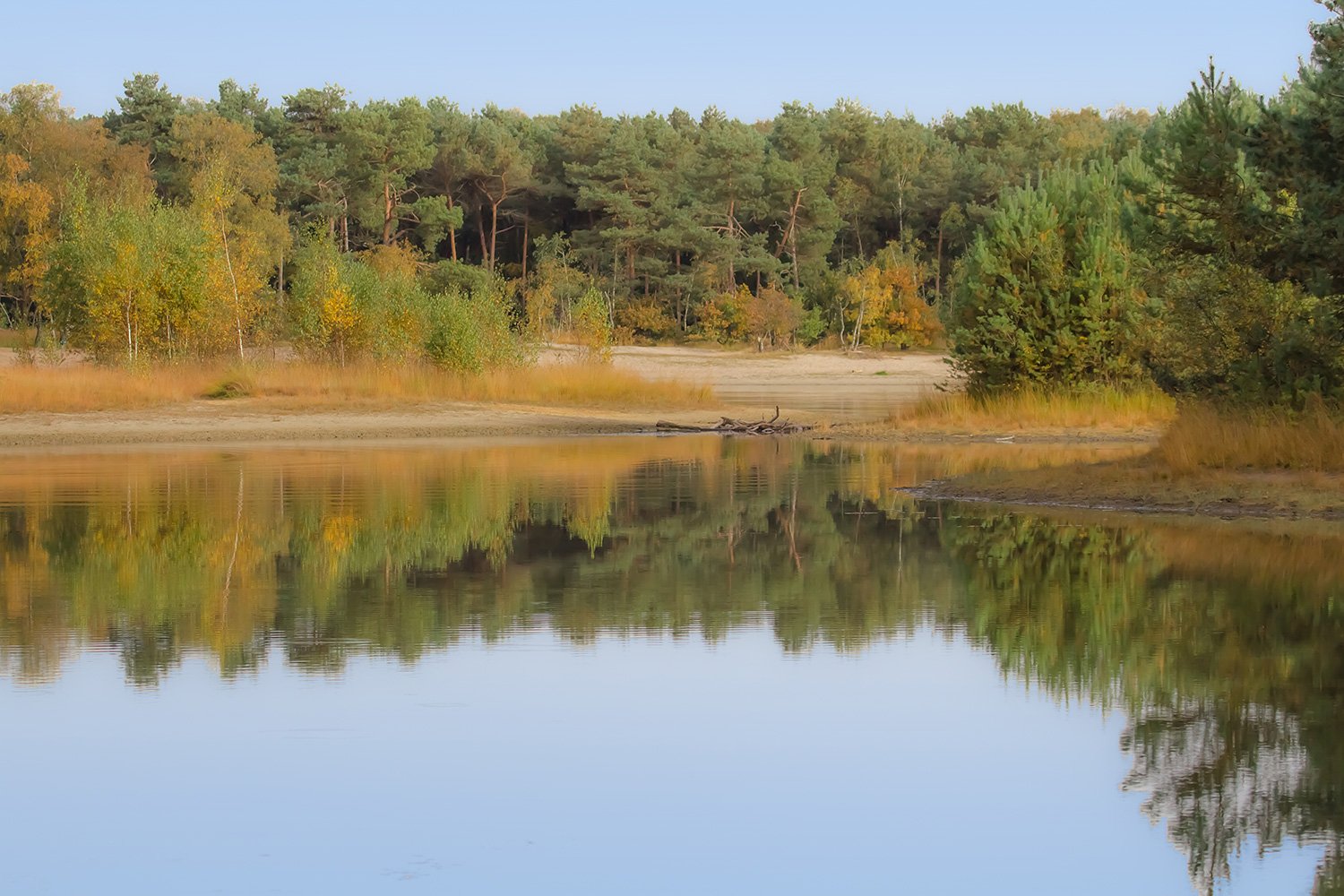 00025_HERPERDUIN_KINDERB_OKTOBER28_2012_4343RCCz-40_15