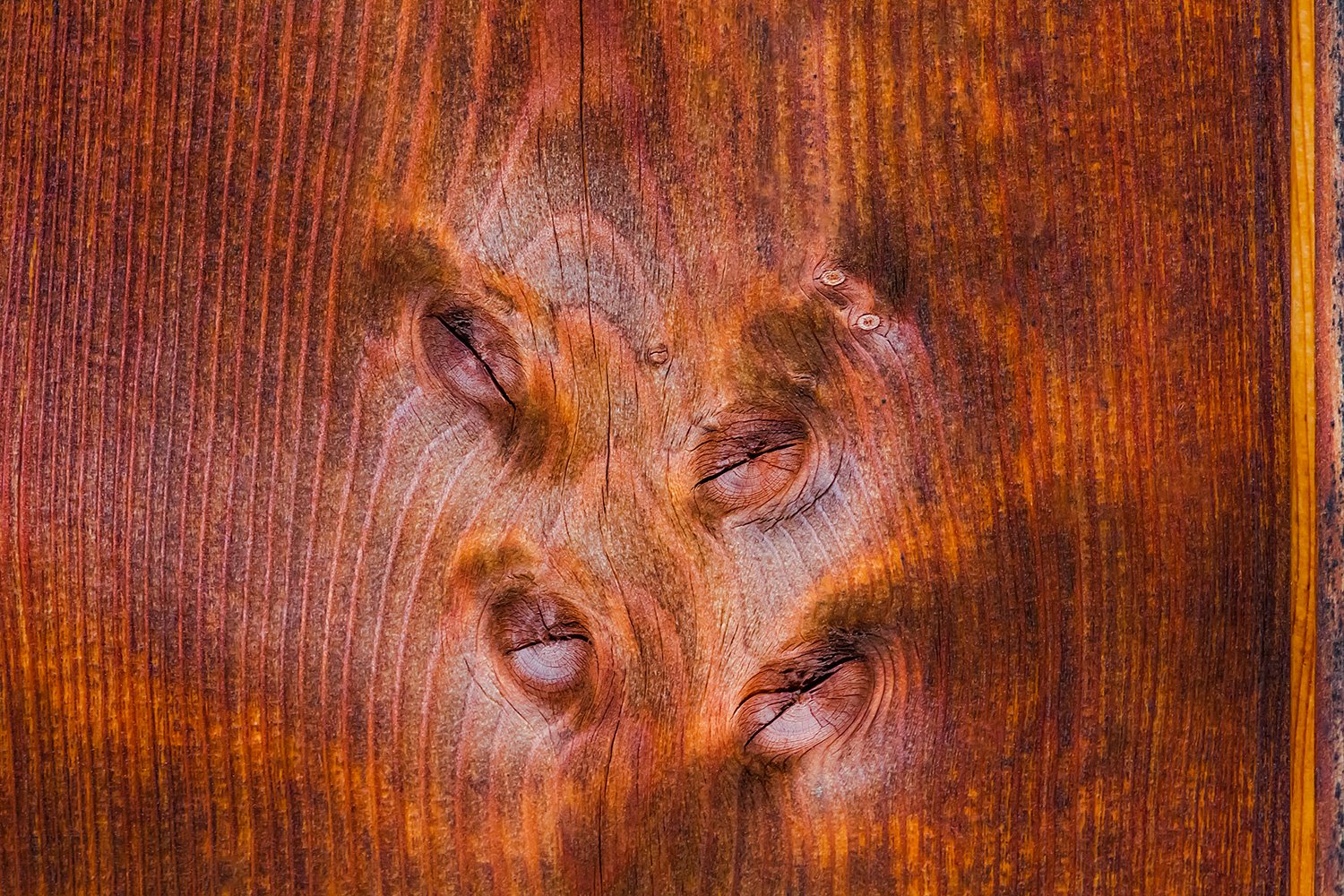 00025_M1_ROTHENBURG_3AUG_2013_7779RCCz-40_15