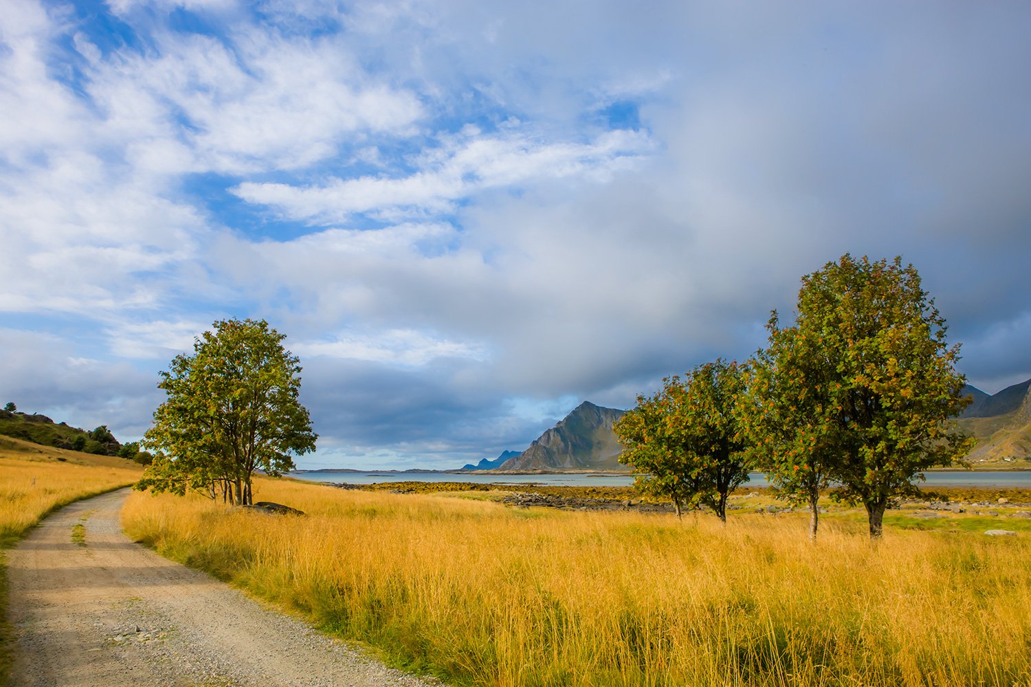 00028_M4_NO8_PHO_135_136_VIKT_2901RCCz-40_15