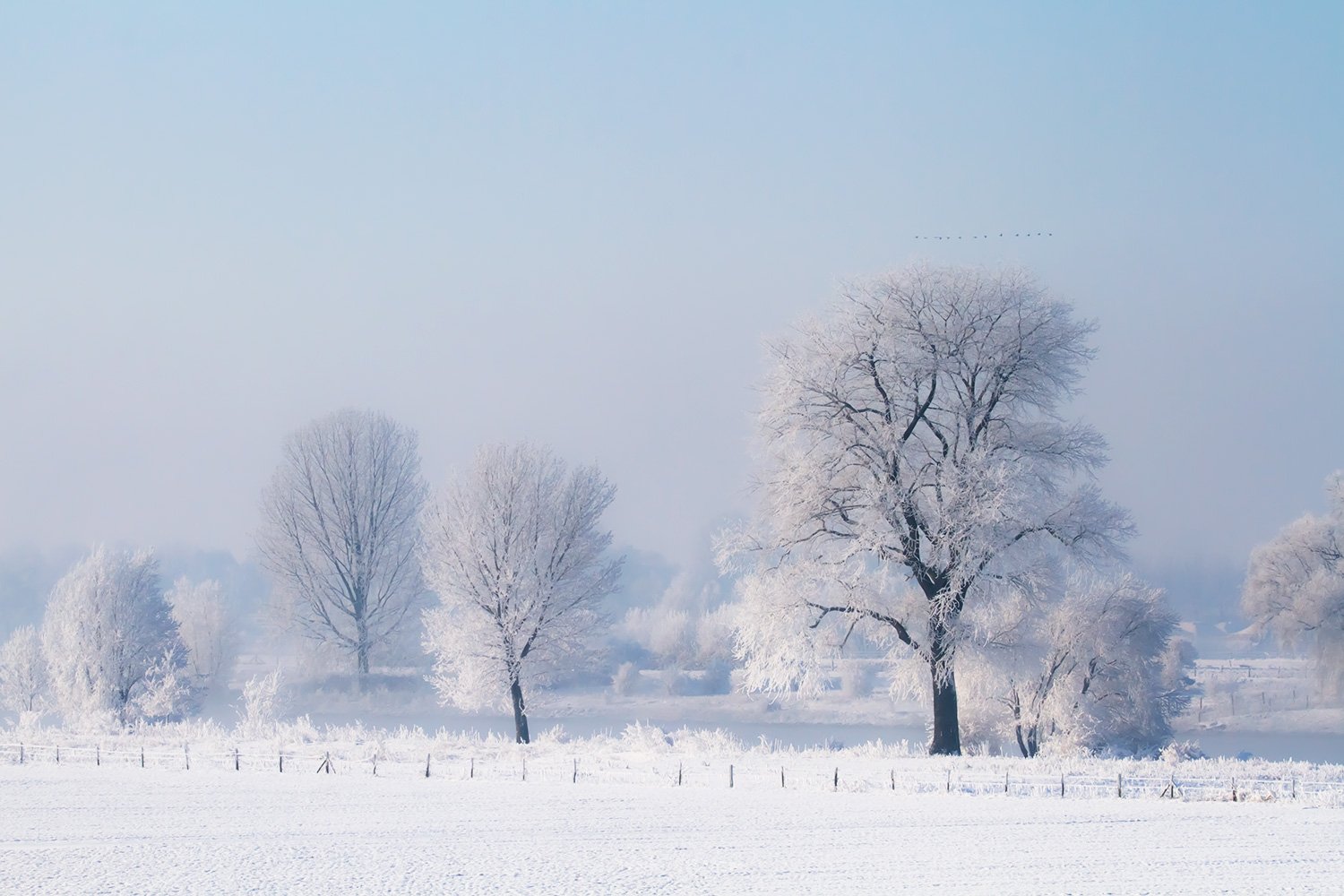 00031_LangsdeMaas1_040212_6531RCCz-40_15