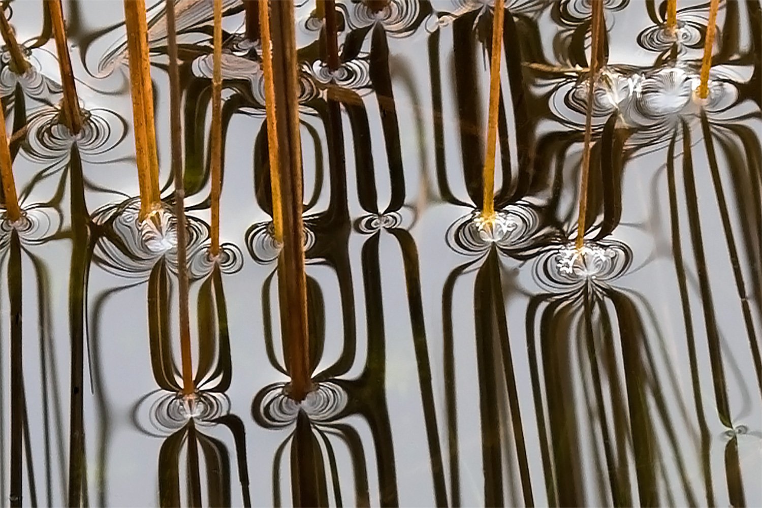 00039_M4_KOOTWIJK1_050407_IMG_0603AO7psdzsvKL2N_15