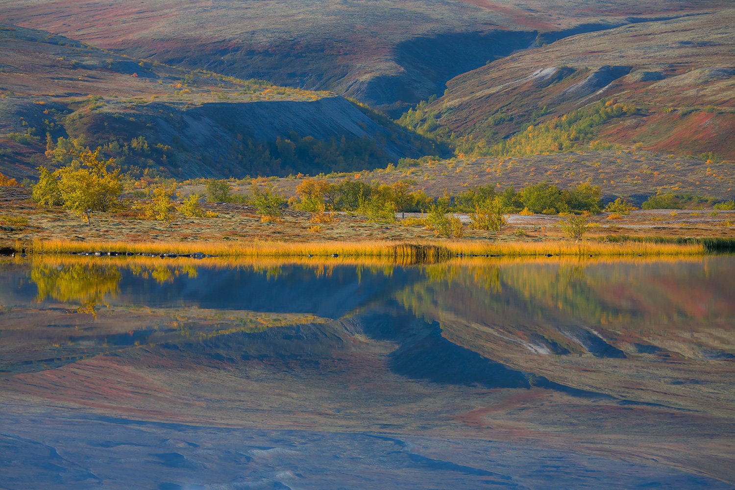 00049_M4_N08_167_168_169_DORESETER_6977RCCz-403e_15