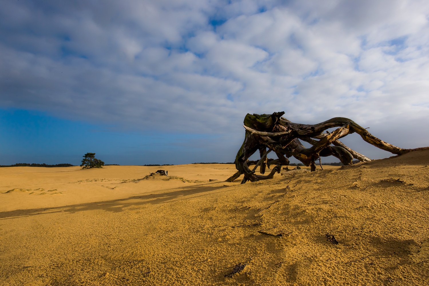 00054_M4_HERFST_HOGEVELUWE_3089_12.11_15