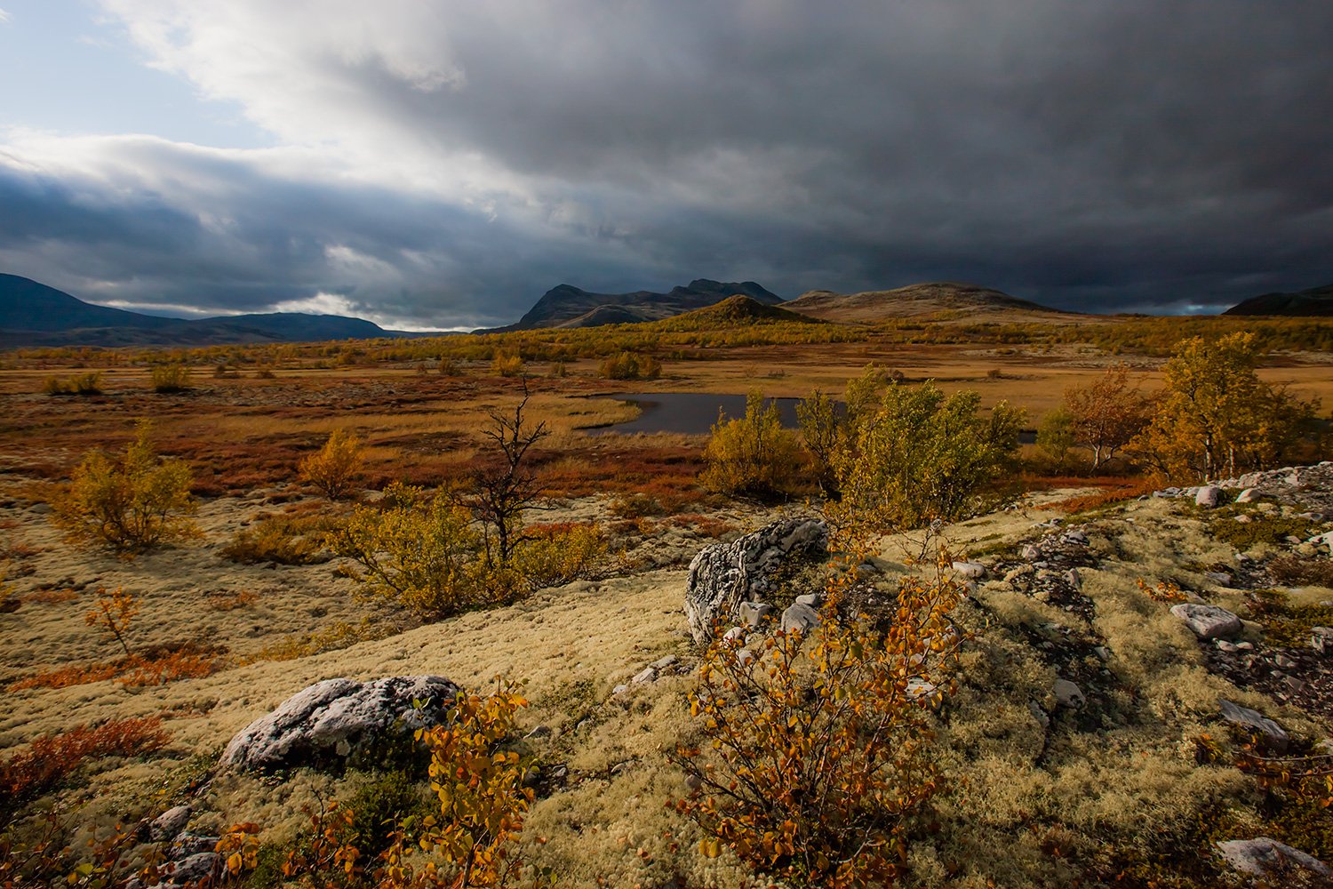 00070_M4_NO8_PHOTO_172_173_FLATS_ALV_6345RCCz-40_15