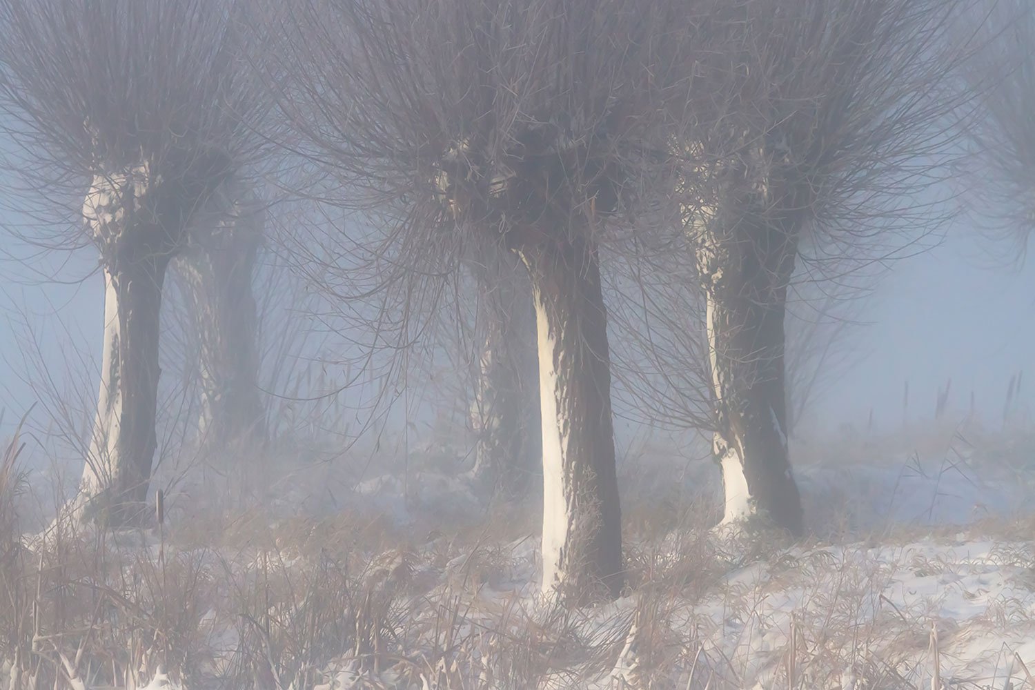 00089_HERPERDUIN_KINDERB_OKTOBER28_2012_4336RCCz-40gr_15