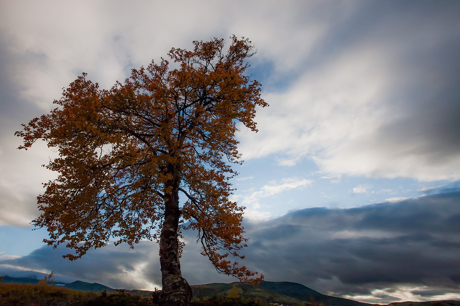 00105_M4_NO8_PHOTO_172_173_FLATS_ALV_6402RCCz-40KL1_15