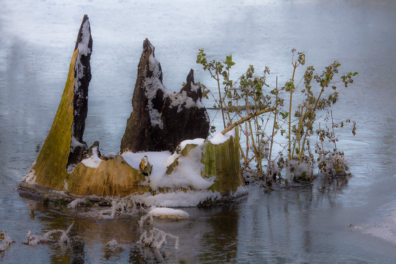 00163_MEDERLAND10_7D_2DECEMBER_2010_6636RCCz-50_15