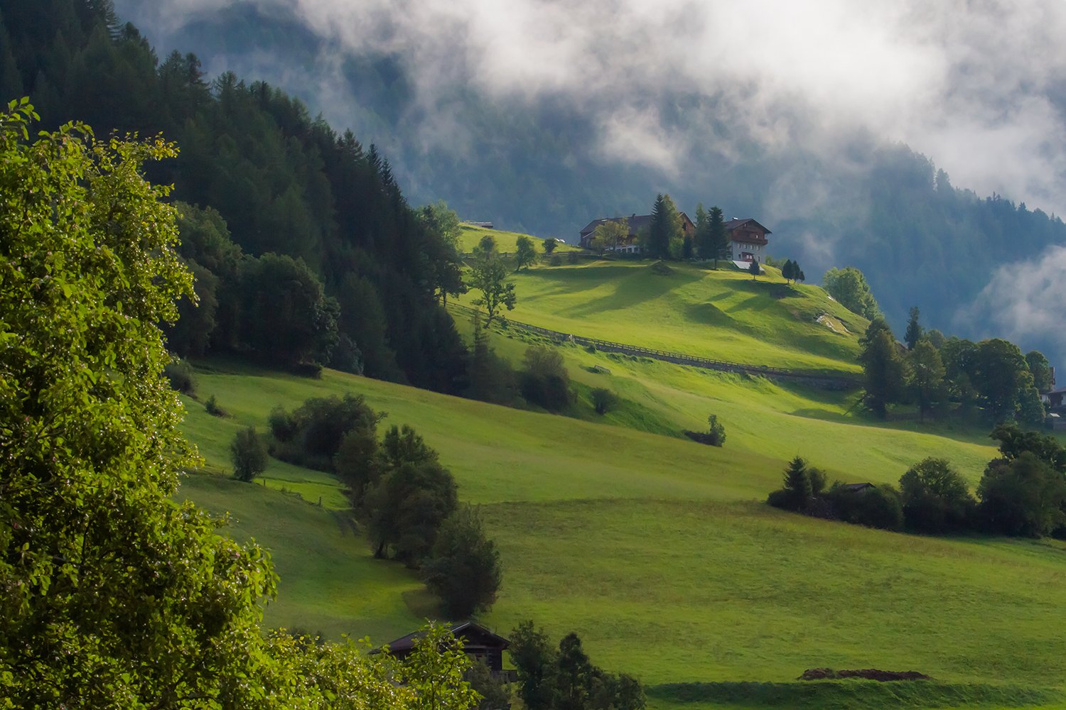 00025_HINTERB_KINDERB_02SEPT_2014_8269RCCz-40KL1_15