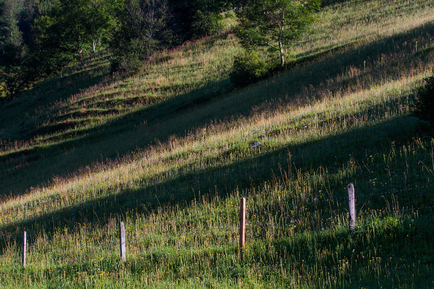 00053_ELG_HINTERB_08AUG_2014_0200RCCz-40_15