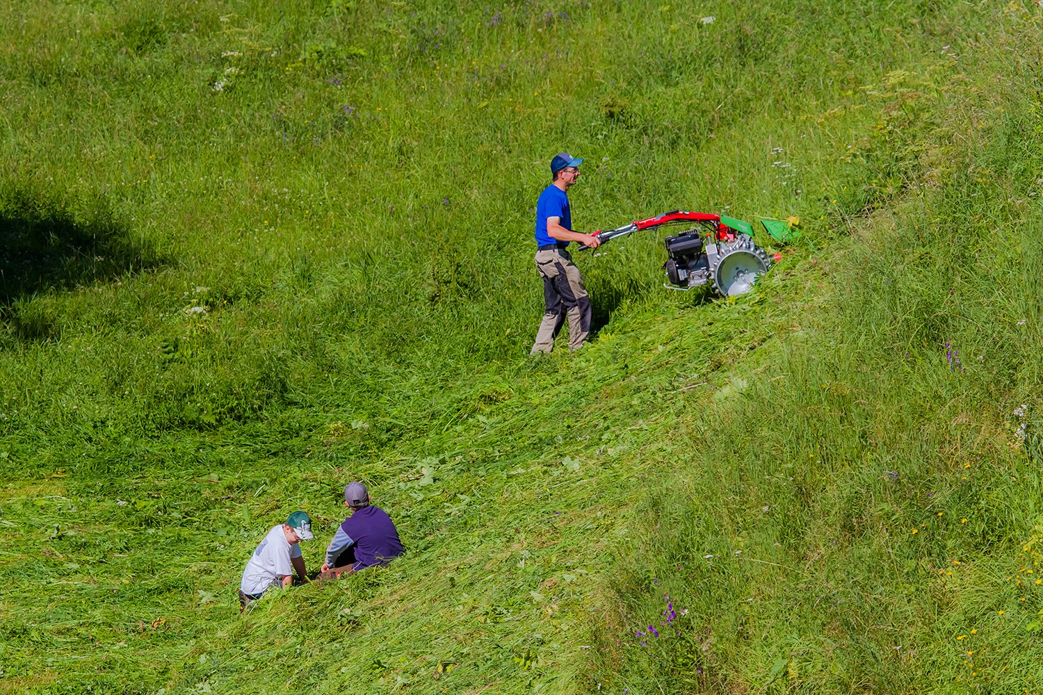 00065_L8_HINTERB_1_23JULI_2012_0917RCC-40_15