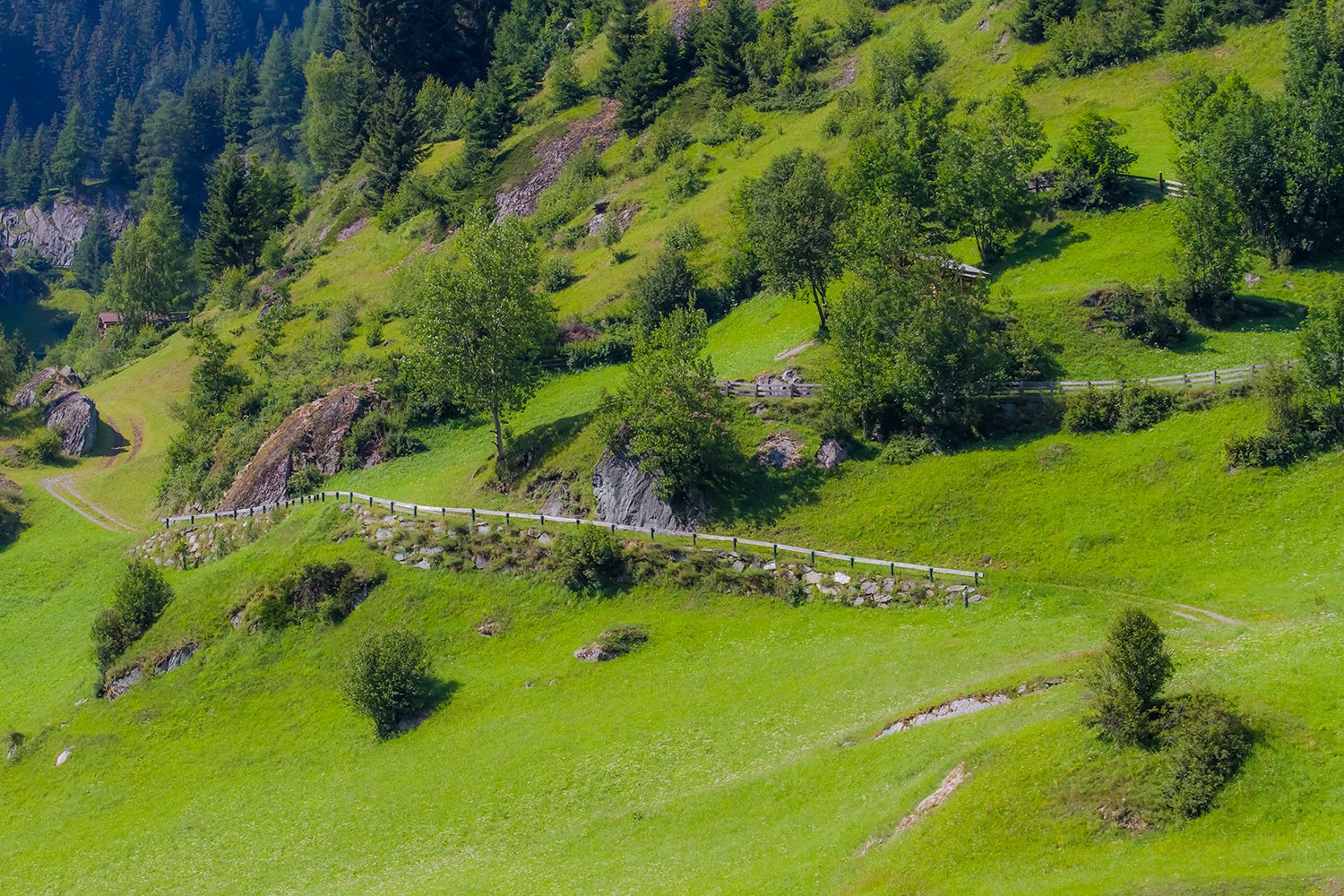 00069_L8_HINTERB_7_24JULI_2912_2962RCCz-40_15