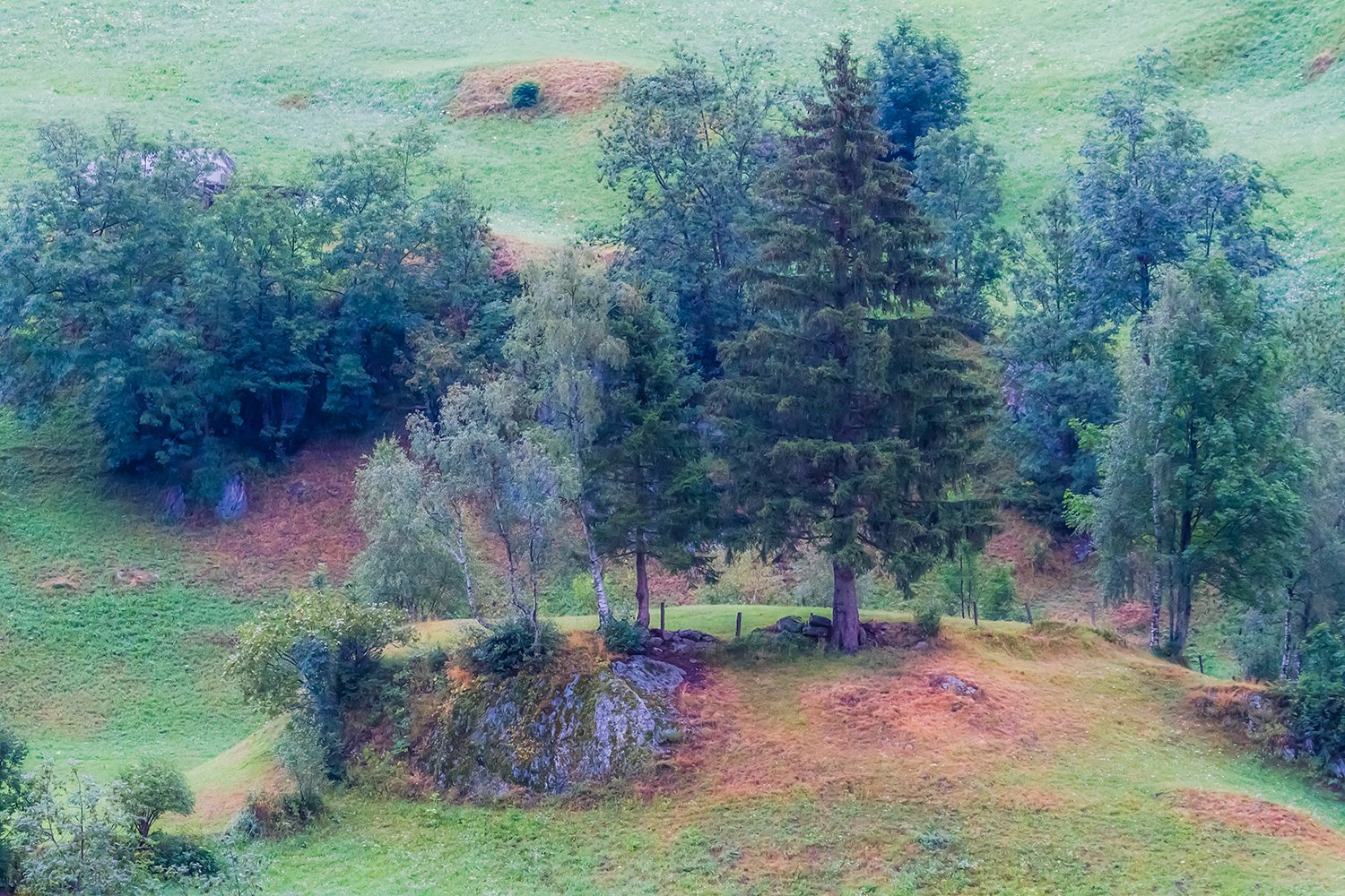 00099_M1_HINTERB_34_10AUG_3013_9296RCCz-40_15