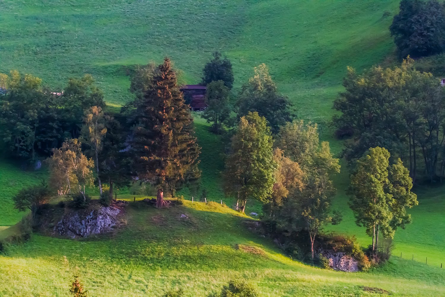 00165_HINTERB_1_23AUG_2015_5303RCCz-40_15