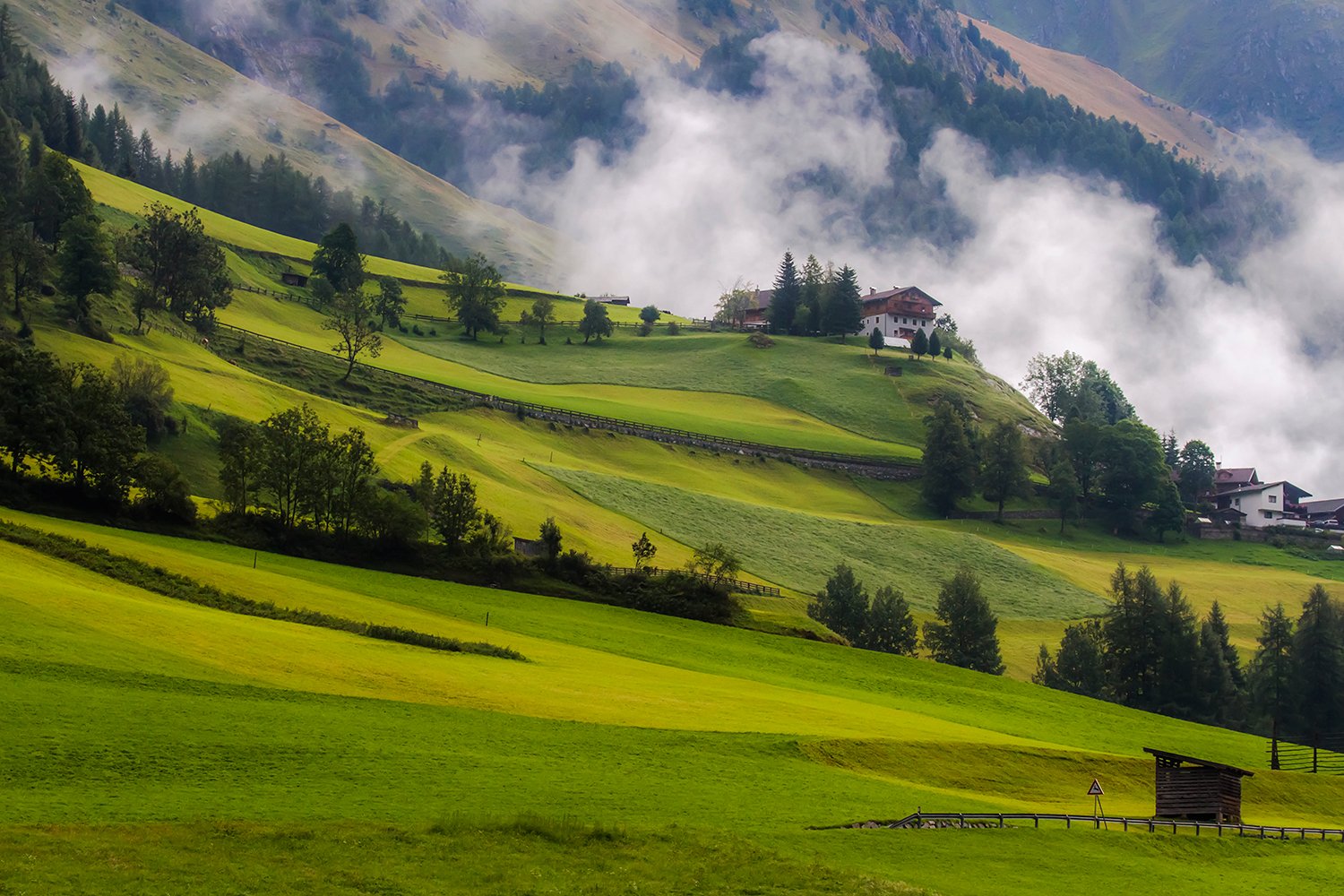 00275_HINTERB_1_7D_16AUG_2015_7457RCCz-40_15