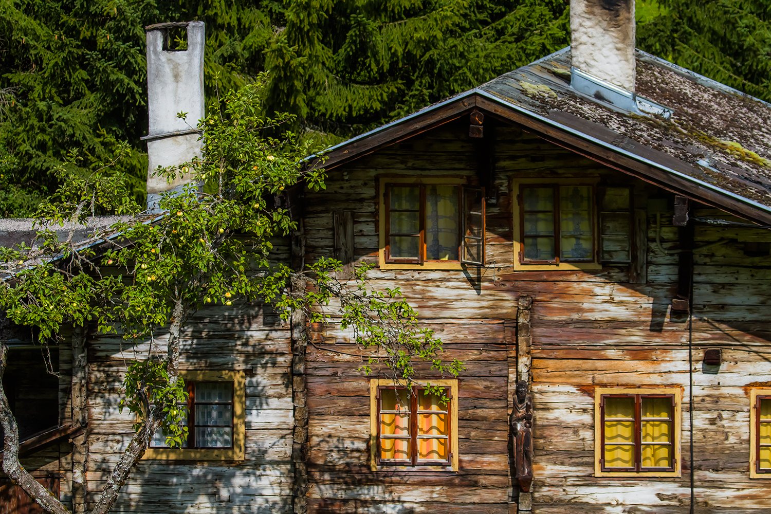 00719_HINTERB_2_23AUG_2015_6082RCCz-40_15