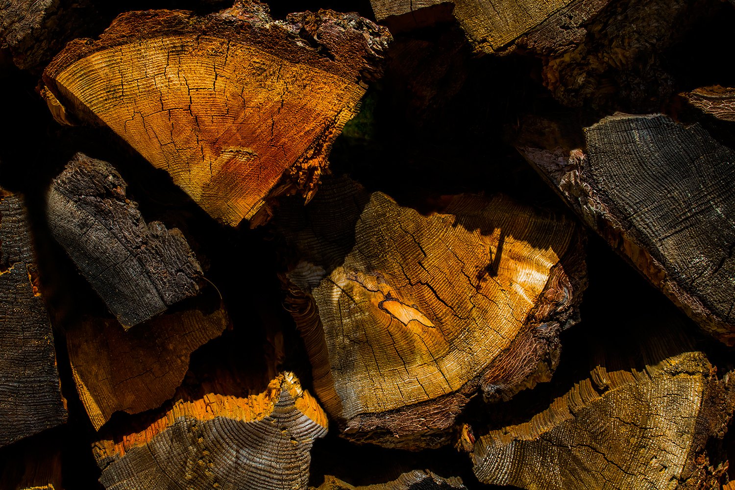 00801_HINTERB_2_05AUG_2015_3368RCCz-40_15