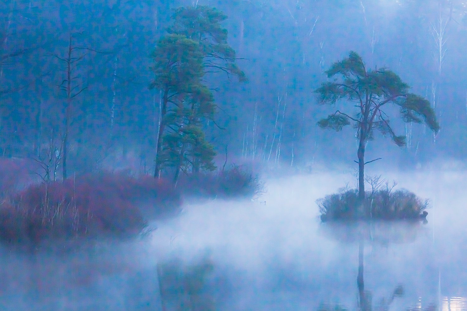 00031_III_OISTERWIJK_1_24FEBR_2016_5709RCCz-40