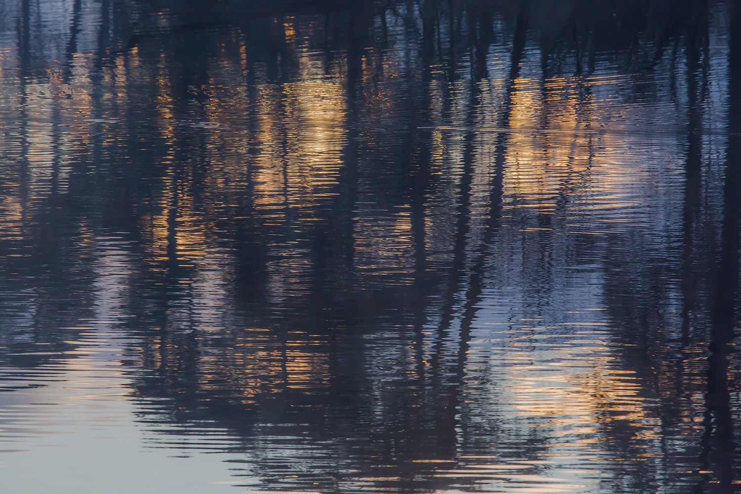 00039_III_OISTERWIJK_1_24FEBR_2016_5668RCCz-40