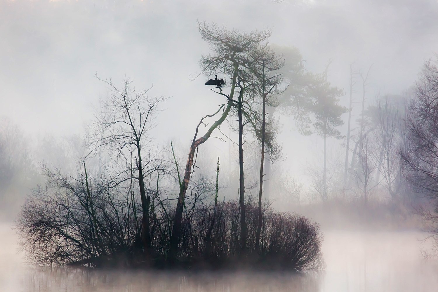 00063_III_OISTERWIJK_1_24FEBR_2016_5649RCCz-402e