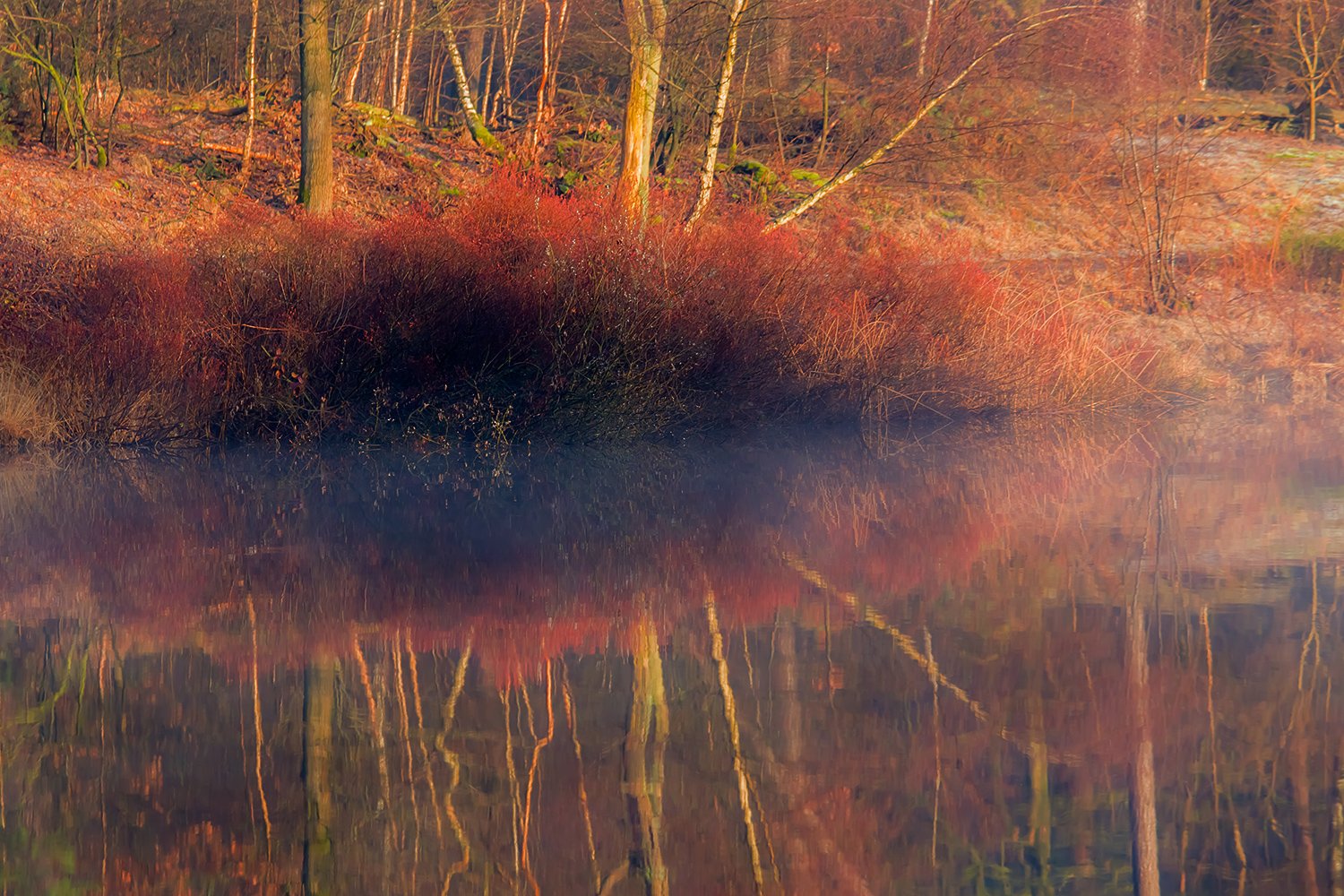 00095_III_OISTERWIJK_1_24FEBR_2016_5828RCCz-402eKL1