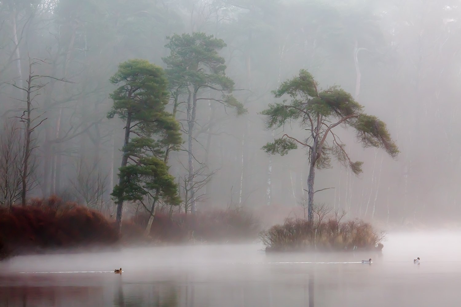 00101_III_OISTERWIJK_1_11MRT_2016_8603RCCz-40