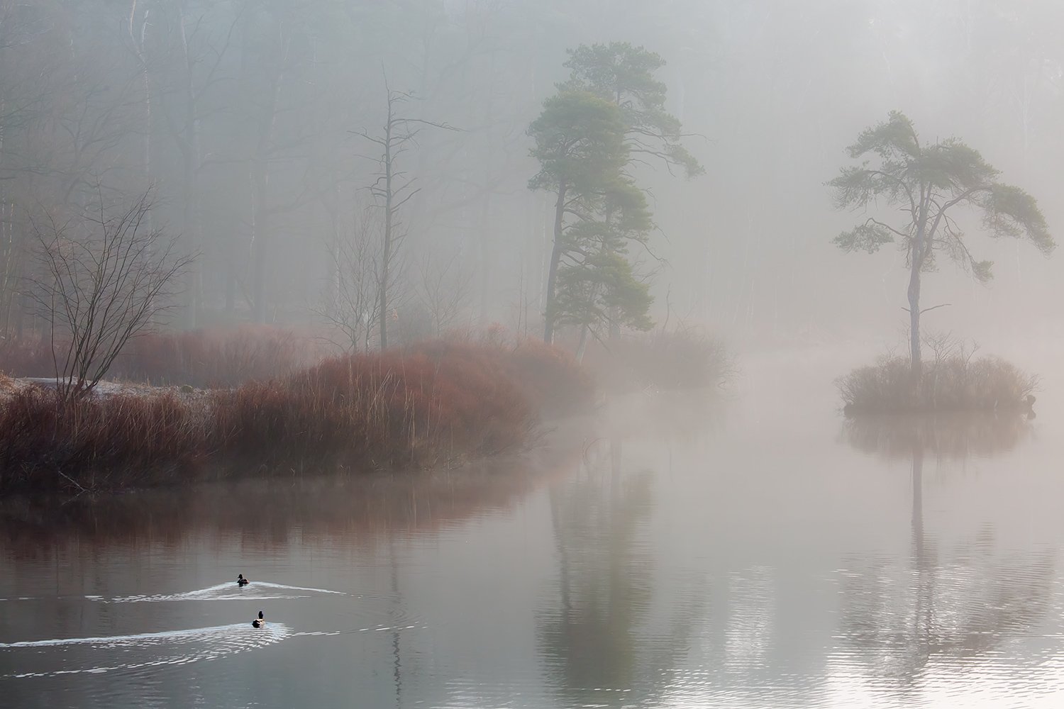 00103_III_OISTERWIJK_2_11MRT_2016_9173CCz-40