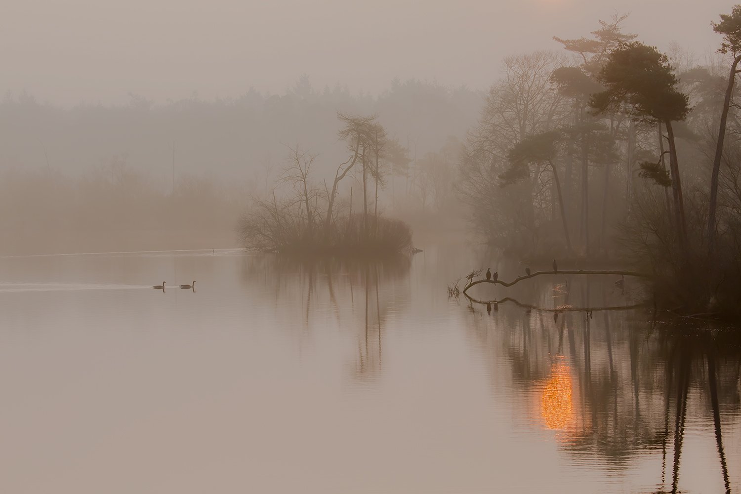 00139_III_OISTERWIJK_1_11MRT_2016_9056RCCz-403e