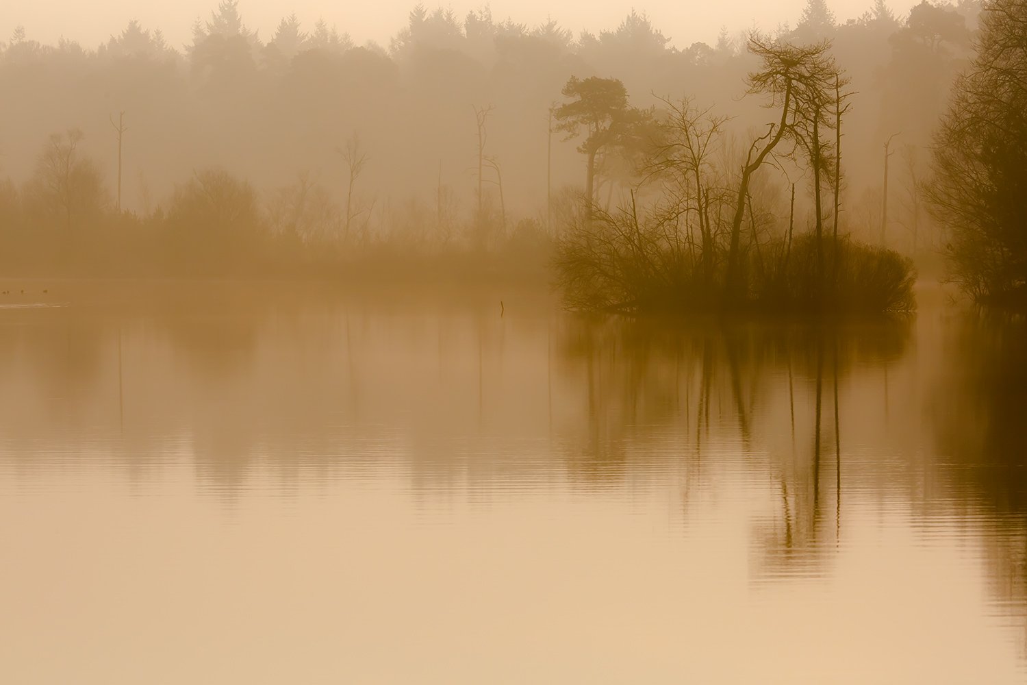 00189_III_OISTERWIJK_2_11MRT_2016_9144CCz-40