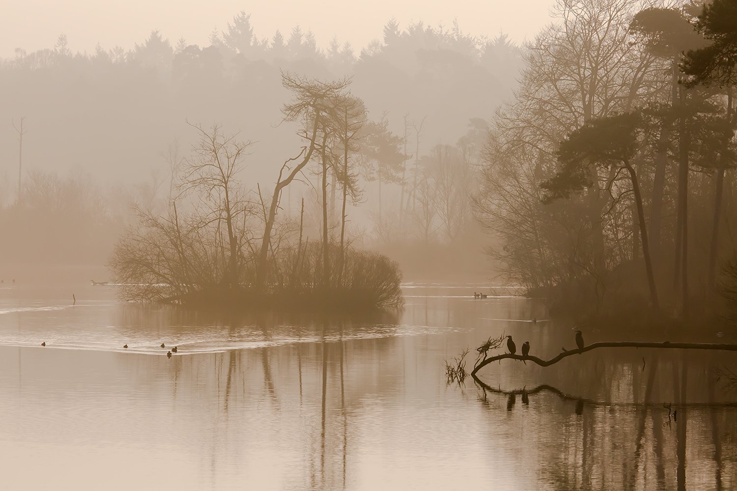 00219_III_OISTERWIJK_2_11MRT_2016_9187CCz-40