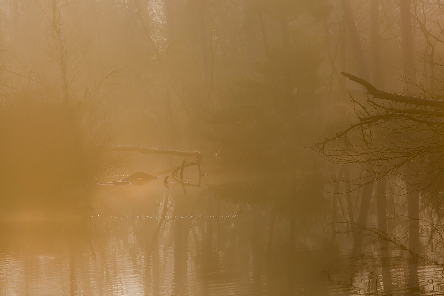 00229_III_OISTERWIJK_2_11MRT_2016_9267RCCz-40